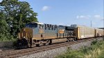 CSX 3387 leads M215.